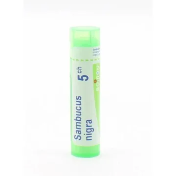 BO.SAMBUCUS NIGRA*5CH 80GR 4G