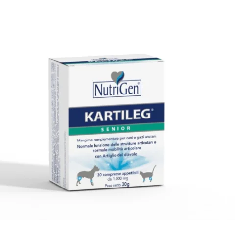 KARTILEG JUNIOR 60TAV