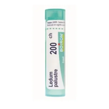 LEDUM PALUSTRE GLOBULI 200CH