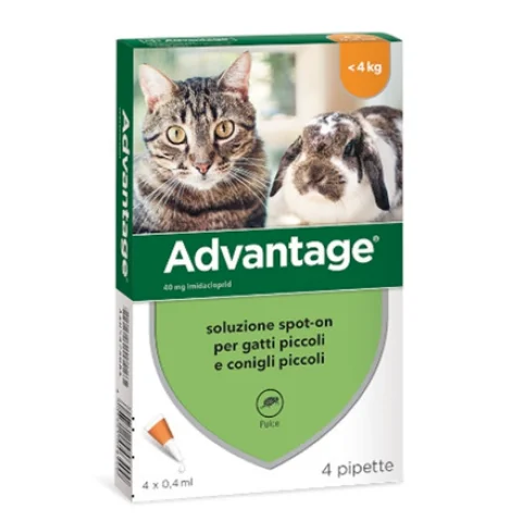 ADVANTAGE FARMACO ANTIPARASSITARIO PER GATTI PICCOLI E CONIGLI 4 PIPETTE