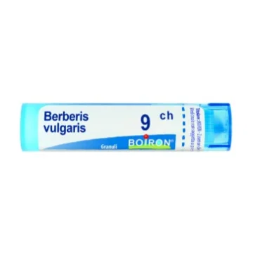 BERBERIS VULGARIS 9CH 80GR Boiron