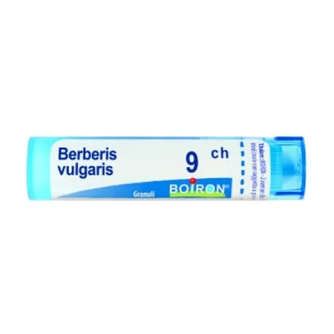 BERBERIS VULGARIS 9CH 80GR Boiron