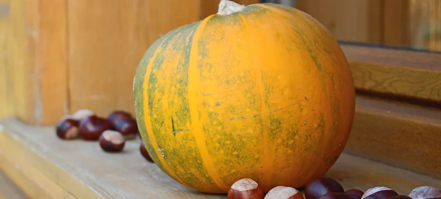 Diabete: zucca e castagne sono controindicate? Diabete: zucca e castagne sono controindicate?