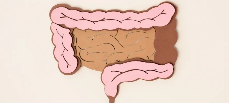 Come regolarizzare l’intestino dopo le vacanze