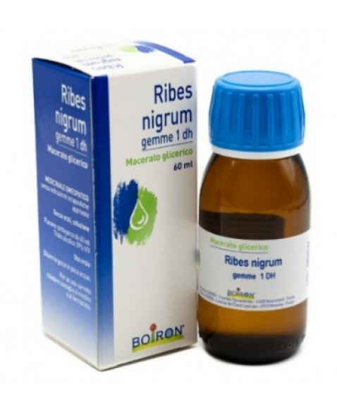 Boiron Ribes Nigrum Gemme 1dh Macerato Glicerico 60 ml - Medicinale Omeopatico