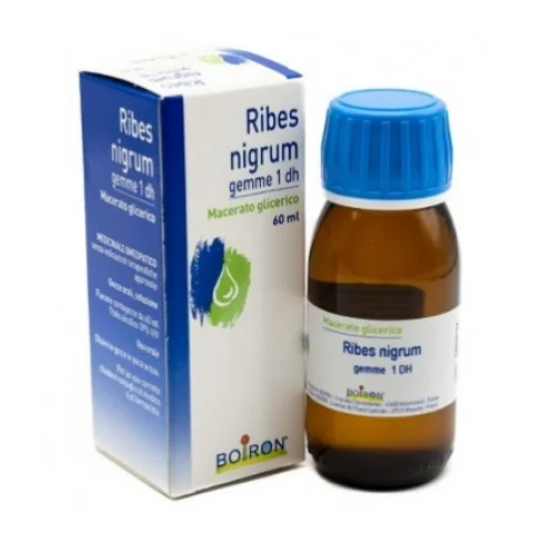 Boiron Ribes Nigrum Gemme 1dh Macerato Glicerico 60 ml - Medicinale Omeopatico
