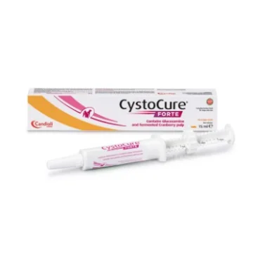 CYSTOCURE Forte Pasta 15ml