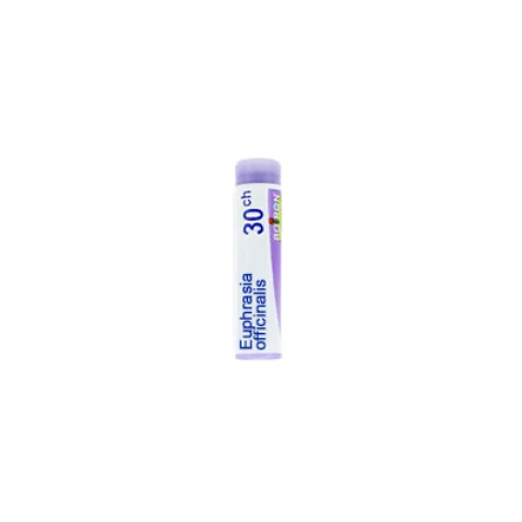 Euphrasia Officinalis 30CH globuli monodose - Trattamento omeopatico per occhi irritati Euphrasia Officinalis 30CH globuli monodose - Trattamento omeopatico per occhi irritati