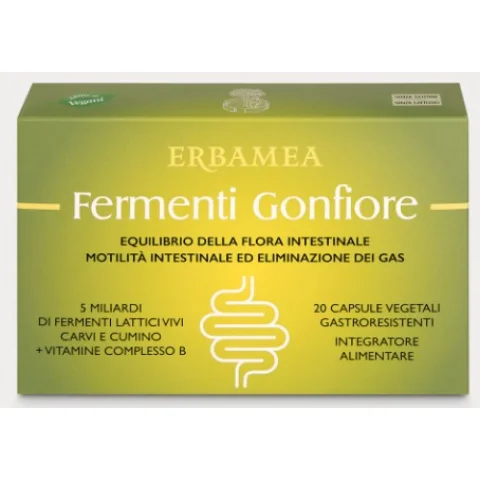 FERMENTI GONFIORE 20 capsule