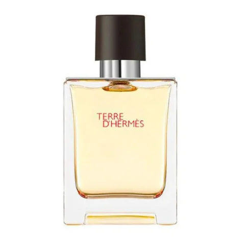 HERMES - Terre D'hermes - Eau De Toilette Uomo 100 Ml Vapo