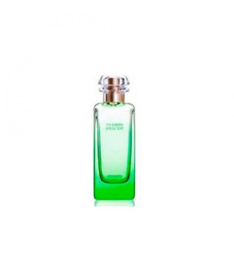 HERMES JARDIN SUR LE TOIT EDT 50 V