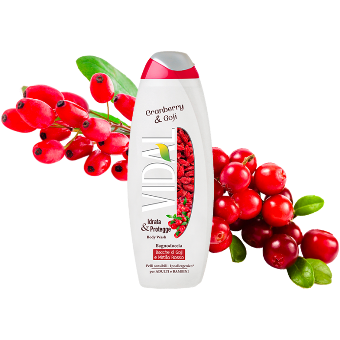 Vidal Bagnodoccia Cranberry & Goji Idrata & Protegge 500ml