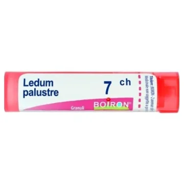 LEDUM PALUSTRE 7CH 80 granuli Boiron