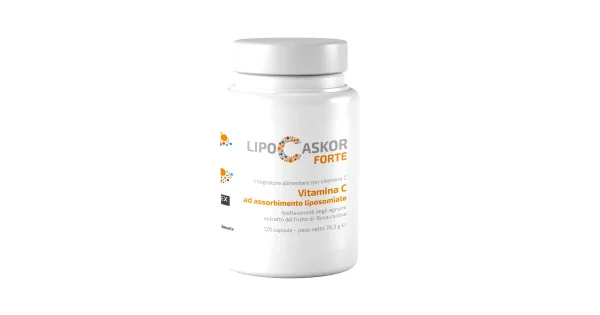 lipo c askor L-Carnitine L-Tartrate with Green Tea Extract 2000mg - Weight Management  Muscle Recovery Energy Boost - 120 Vegetarian Tablets | International  Shipping | Buy Now with Express International Delivery