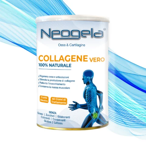Neogela Collagene Vero 100% Naturale in Polvere 400 gr Zeta 92 - Integratore alimentare per il benessere delle cartilagini e delle articolazioni delle ossa Neogela Collagene Vero 100% Naturale in Polvere 400 gr Zeta 92 - Integratore alimentare per il benessere delle cartilagini e delle articolazioni delle ossa