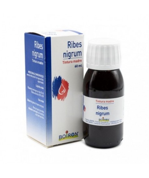 Ribes Nigrum 60 ml Tintura Madre - Trattamento omeopatico drenante e per dolori articolari