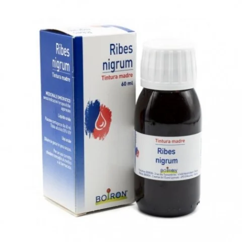 Ribes Nigrum 60 ml Tintura Madre - Trattamento omeopatico drenante e per dolori articolari Ribes Nigrum 60 ml Tintura Madre - Trattamento omeopatico drenante e per dolori articolari
