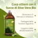 Succo Aloe Vera Bio Salugea 500 ml