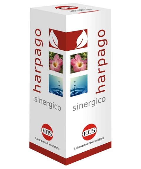 HARPAGO SINERGICO GTT 100ML KOS