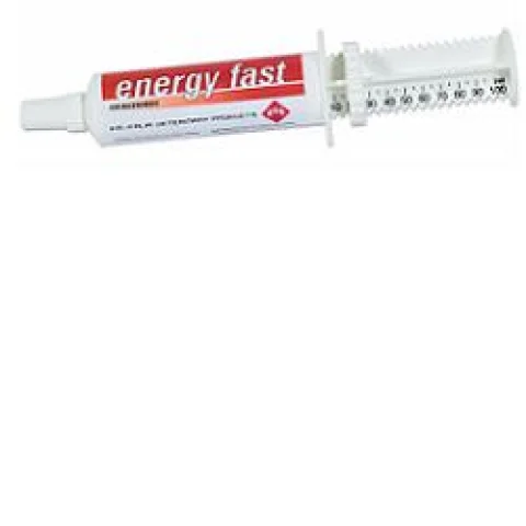 ENERGY FAST EQUINI SOSPENSIONE ORALE 1 SIRINGA 80GR - FM ITALIA