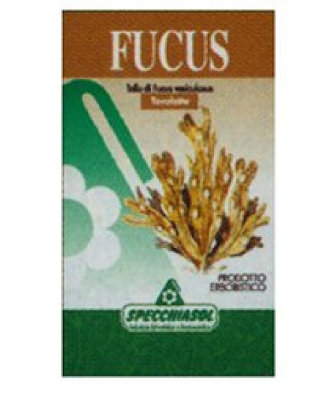 FUCUS ERBE 150TAV SPECCH