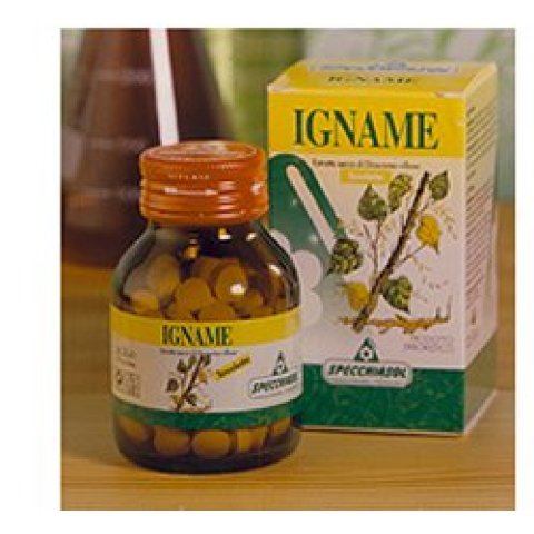 IGNAME ERBE 60TAV SPECCH IGNAME ERBE 60TAV SPECCH