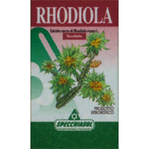 RHODIOLA ERBE 60TAV SPECCH RHODIOLA ERBE 60TAV SPECCH