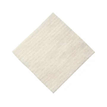 ALGISITE M 10X10 CM 10PZ