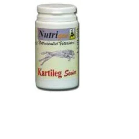 KARTILEG SENIOR 120 TAV KARTILEG SENIOR 120 TAV
