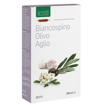 BIANCOSPINO/OLIVO/AGL 20ABX15M BIANCOSPINO/OLIVO/AGL 20ABX15M