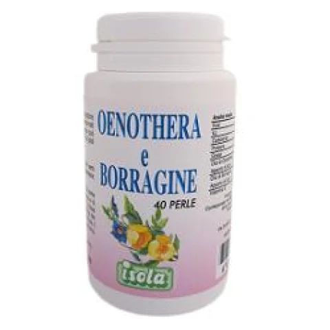 OENOTHERA BORRAGINE 40PRL OENOTHERA BORRAGINE 40PRL