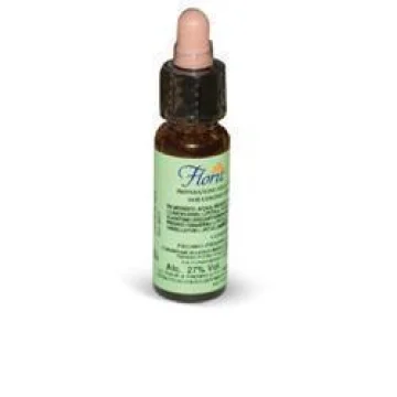 FLORIT N33 NOCE 10ML (ES)