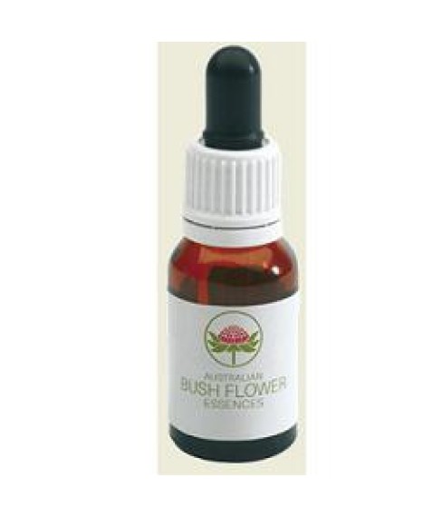 GREEN SPIDER ORCHID AUSTR 15ML