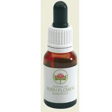 WISTERIA 15ML