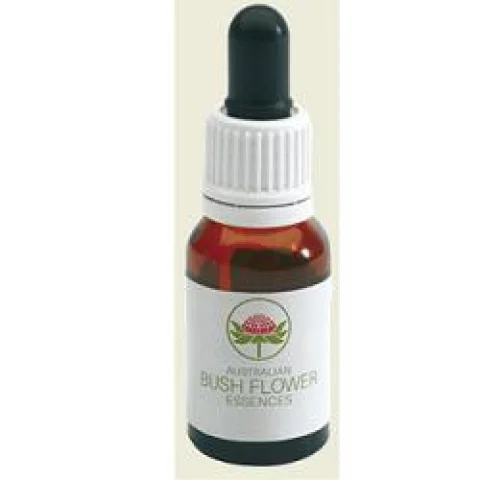 WISTERIA 15ML