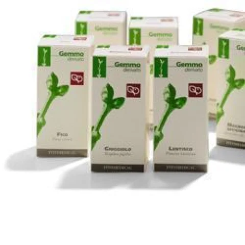 LENTISCO GD  50ML