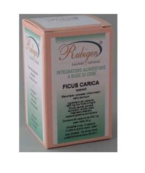 FICUS CARICA 60CPS