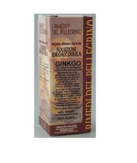 Ginkgo Biloba 60 Cps 510mg