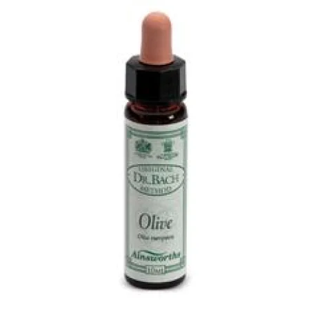 OLIVE 10ML AINSWORTHS