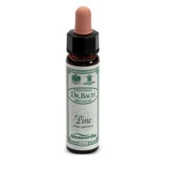 PINE 10ML AINSWORTHS