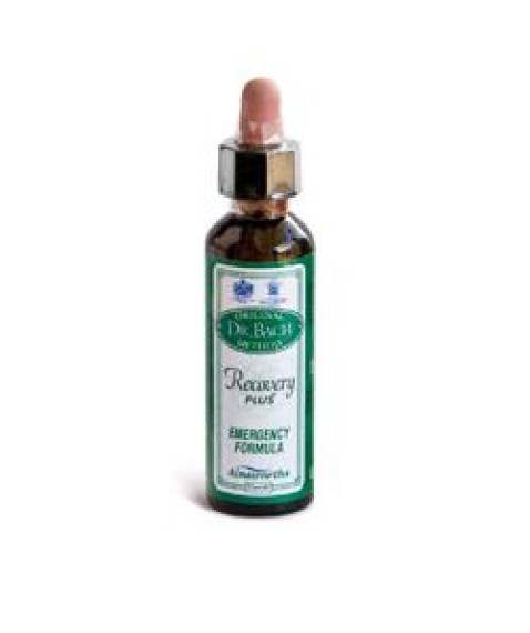 AINSWORTHS Recov Plus 20ml STV