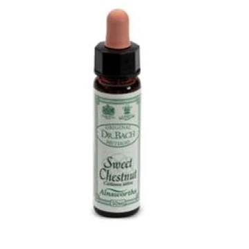 SWEET CHESTNUT 10ML AINSWORTHS