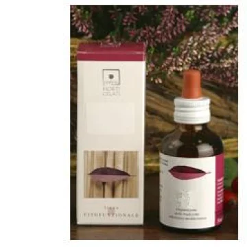 ACER CAMPESTRIS MG 50ML STV