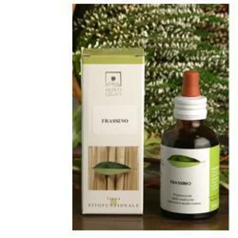 GINKGO BIO TM 50ML STV