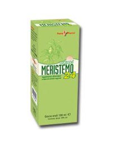 MERISTEMO INKAS 24 100ML