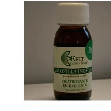 TAMANU CALOFILLA OLIO VEG 100M (ES)