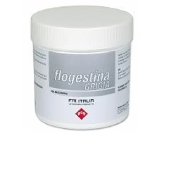FLOGESTINA GRIGIA EQUINI PASTA BARATTOLO 1000GR - FM ITALIA