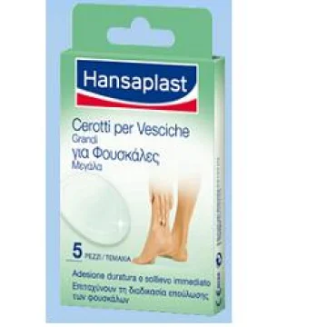 HANSAPLAST CER VESC GRANDI 5PZ HANSAPLAST CER VESC GRANDI 5PZ