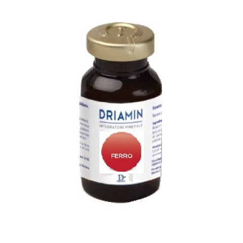 DRIAMIN FERRO 15ML DRIAMIN FERRO 15ML