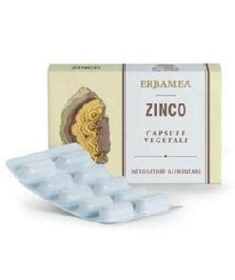 ZINCO 24 Cps Veg.EBM